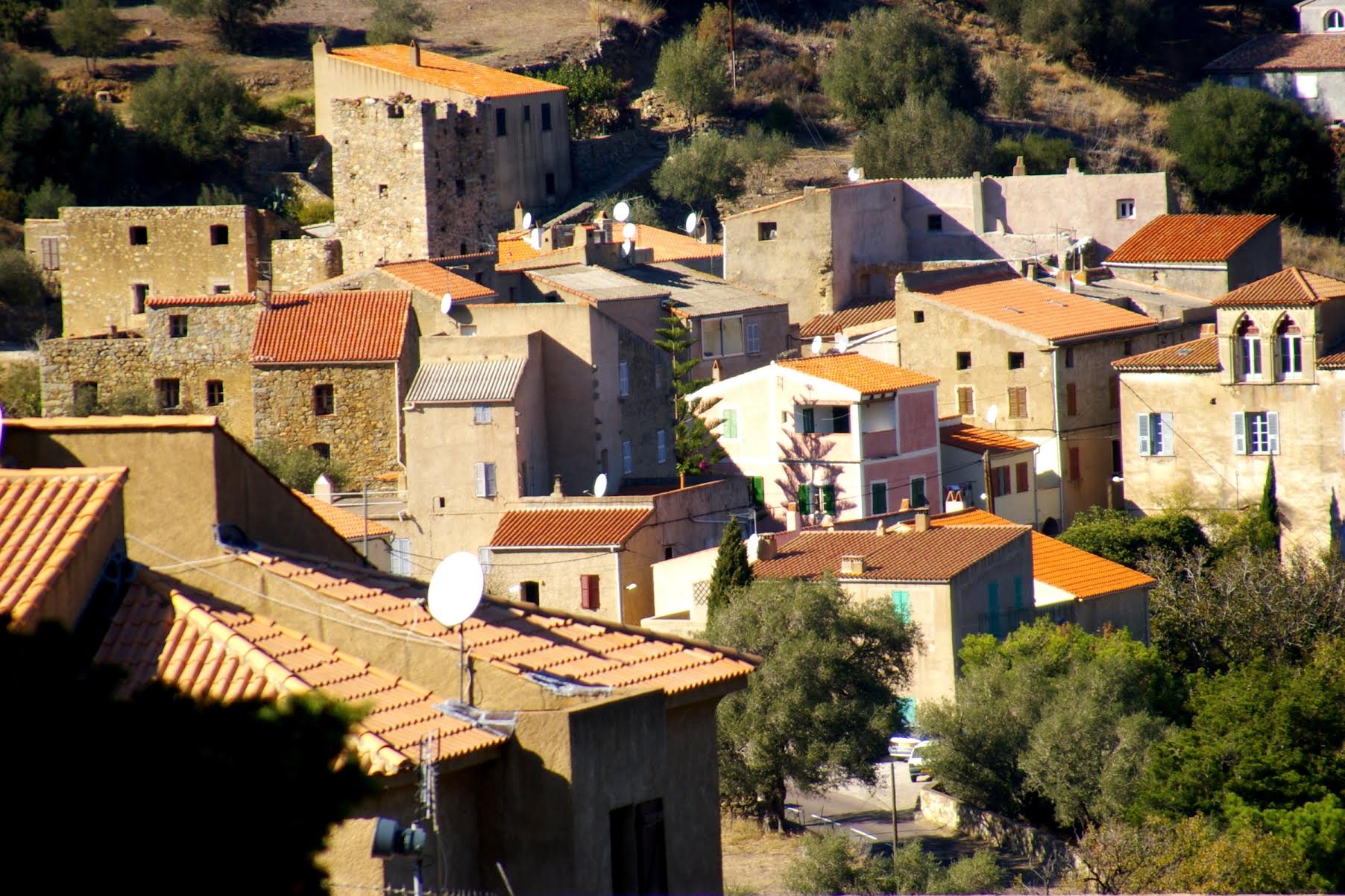 Santa-Reparata-di-Balagna - Les préoccupations de Palmentu au cœur d’un dialogue
