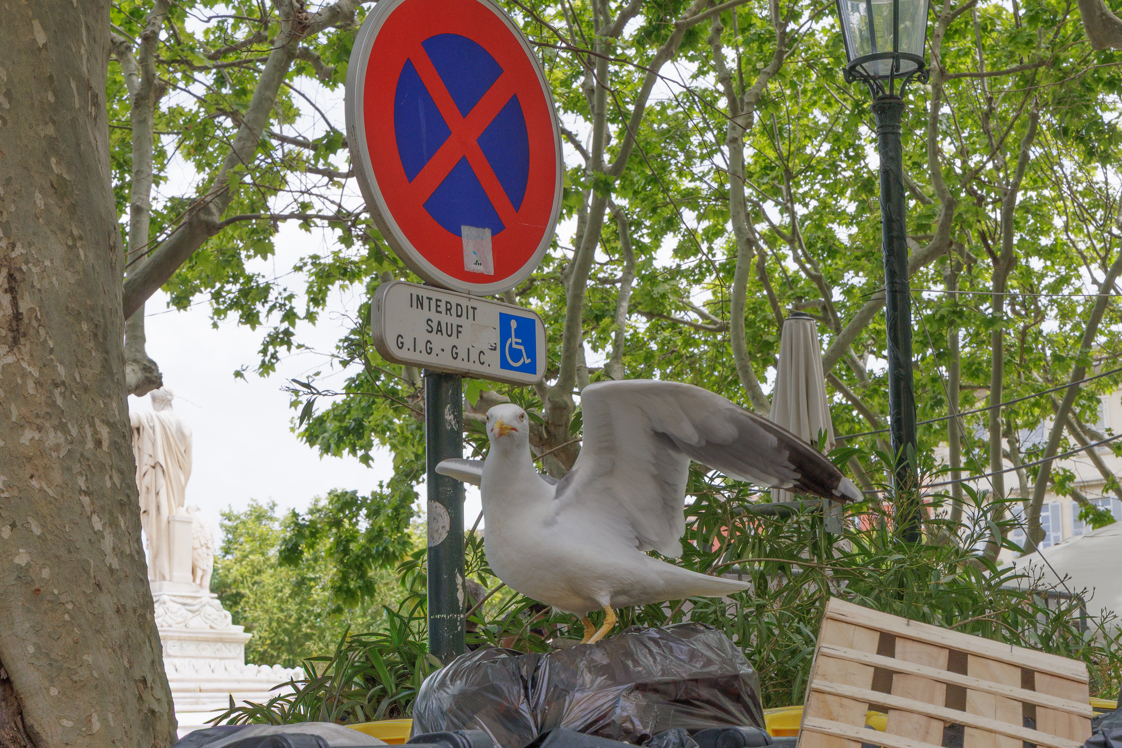 (Photo Gérard Baldocchi)