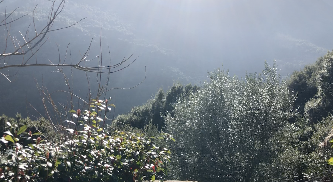 U tempu in Corsica