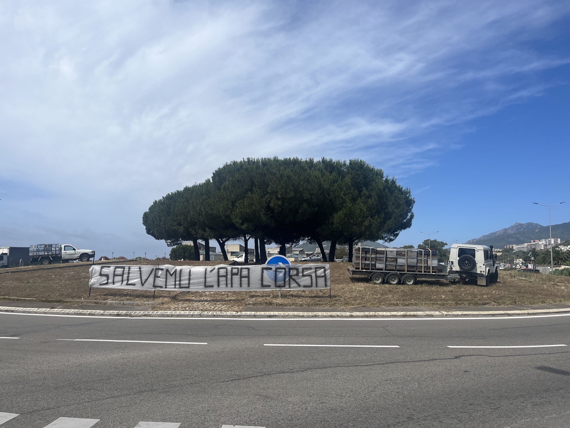 « Nous avons touché le fond » : les apiculteurs corses alertent sur une crise historique et réclament un plan de sauvetage