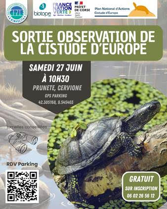 Sortie d'observation de la Cistude d’Europe à Prunete