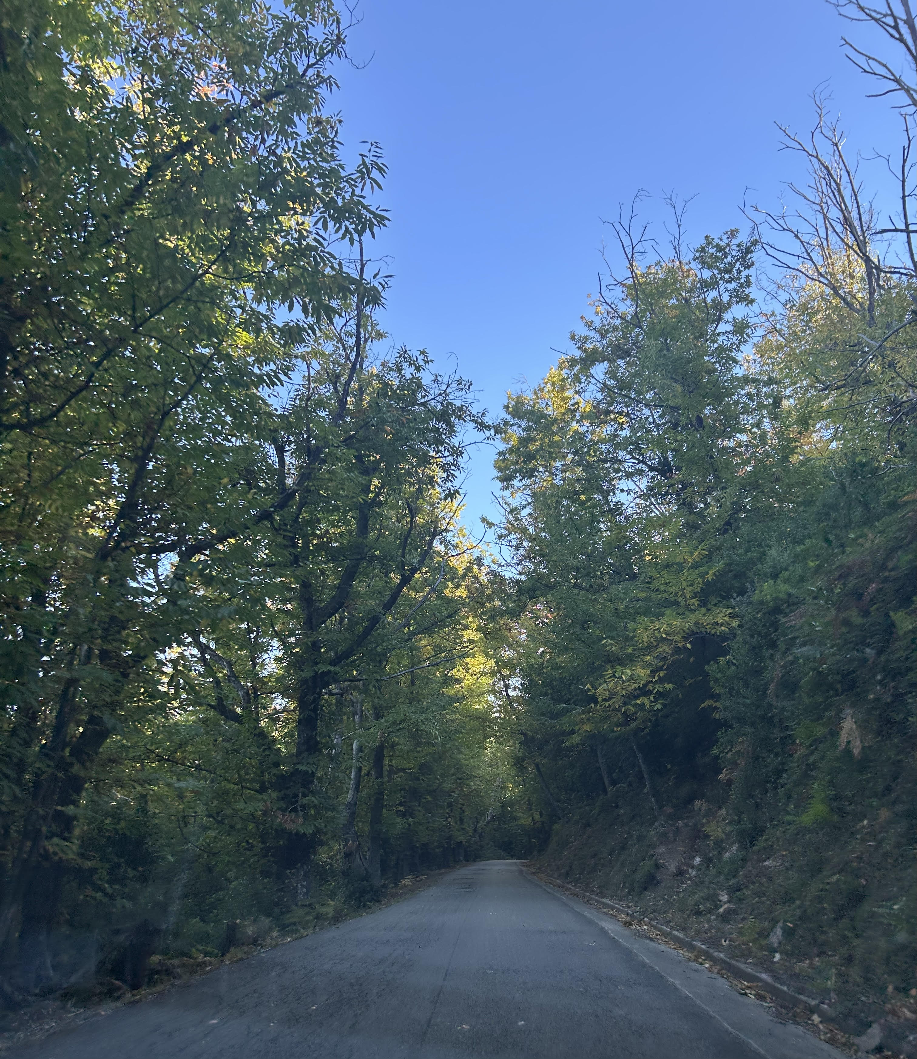 Sur la route de Croce en Castagniccia (Mylène Sabiani)