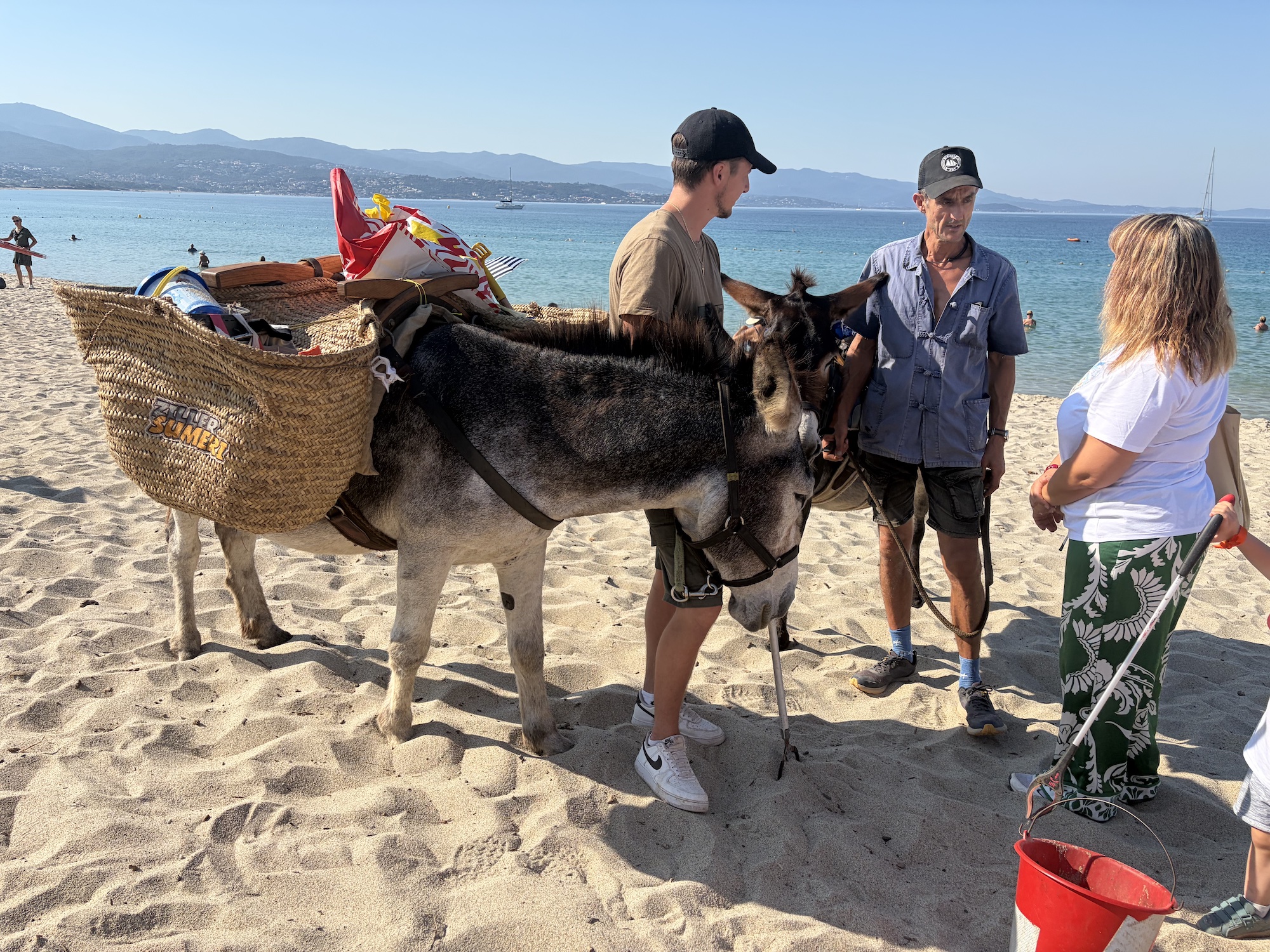 Ajaccio - Au Ricanto, les plus petits apprennent déjà à protéger le littoral