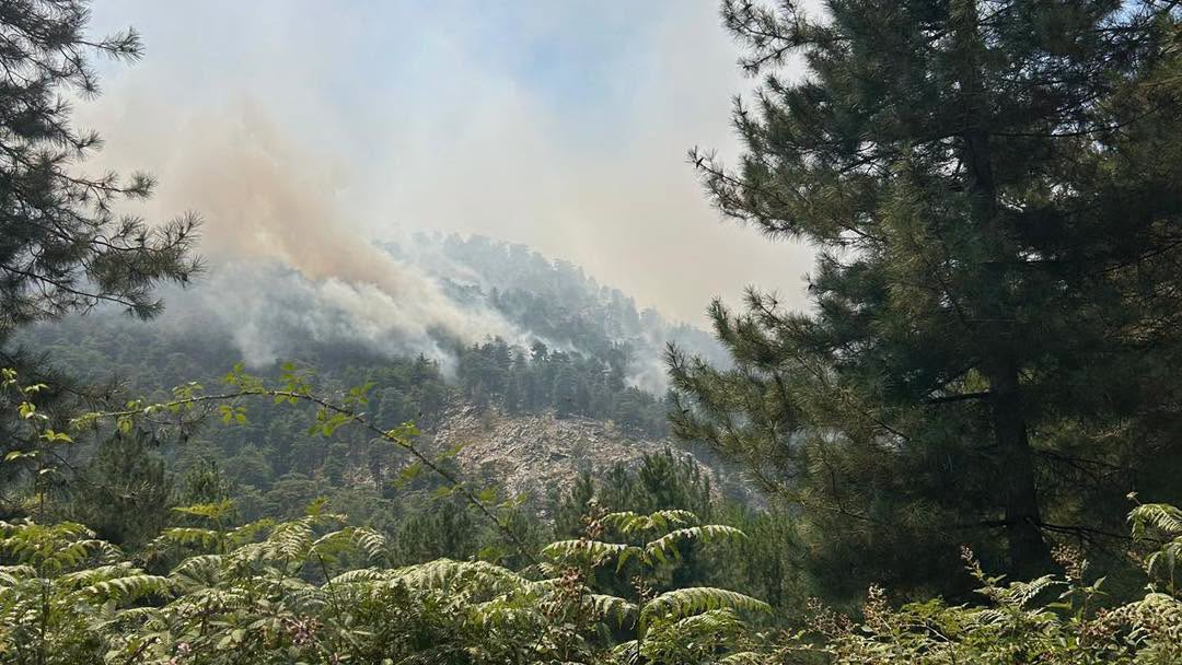 Haute-Corse : la bataille contre les flammes se poursuit à Corte et Albertacce