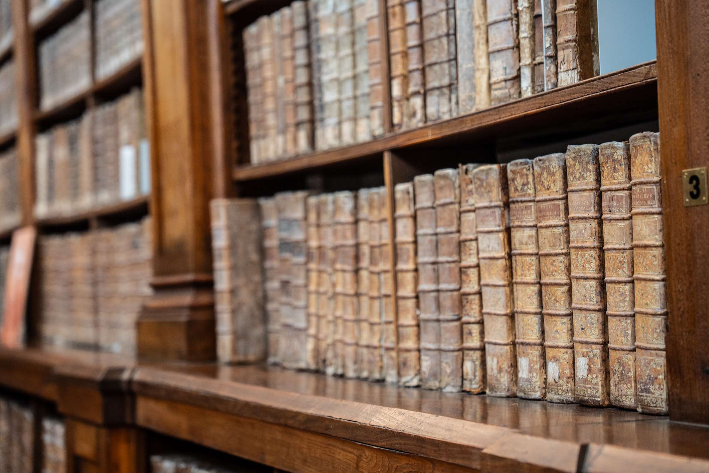 À la bibliothèque Fesch d'Ajaccio, une exposition raconte l'histoire méconnue des portraits d'auteurs