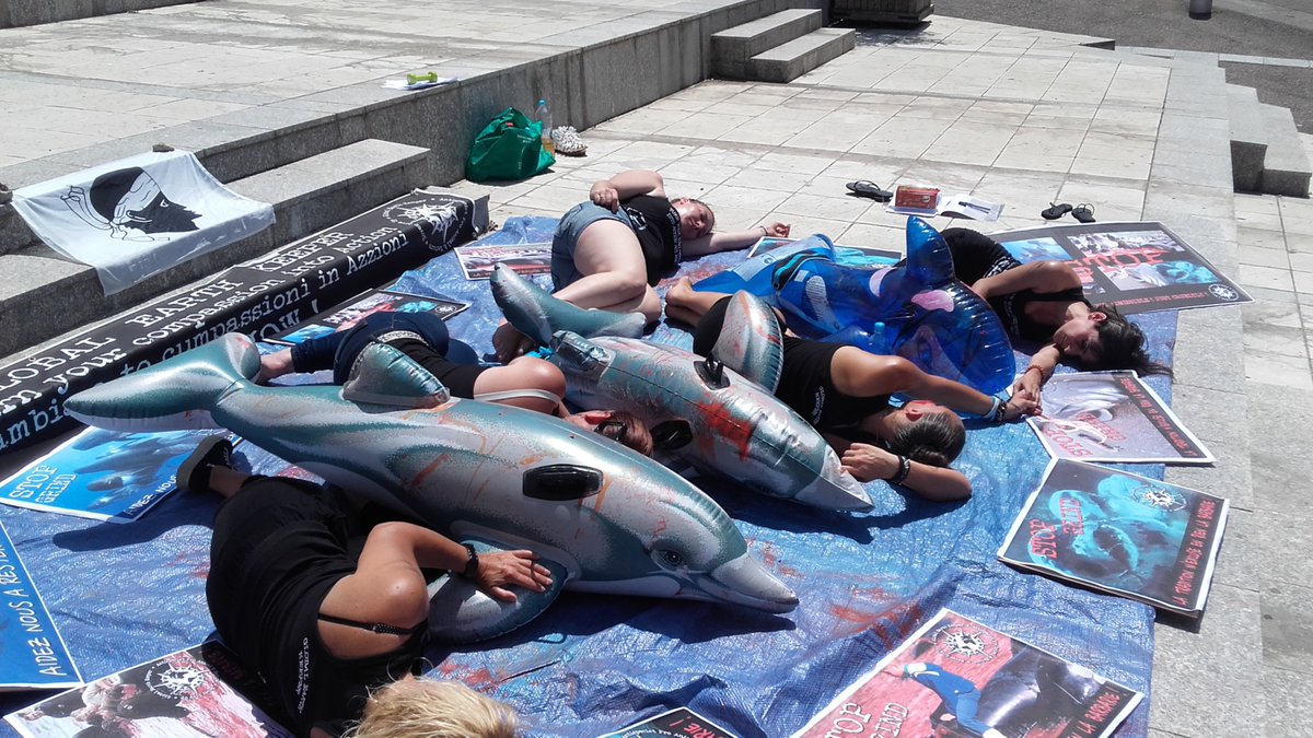 Massacre aux Iles Feroé : Manifestation devant le consulat du Danemark à Porto-Vecchio