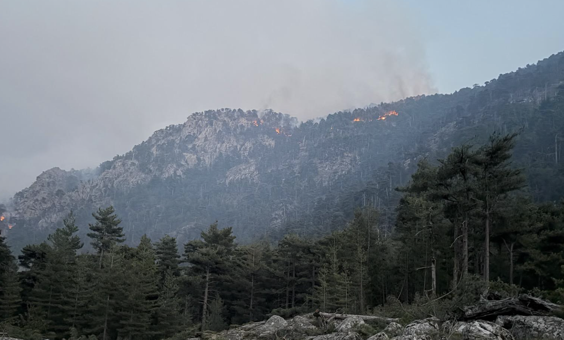 Corte - 300 hommes pour faire face à l'incendie