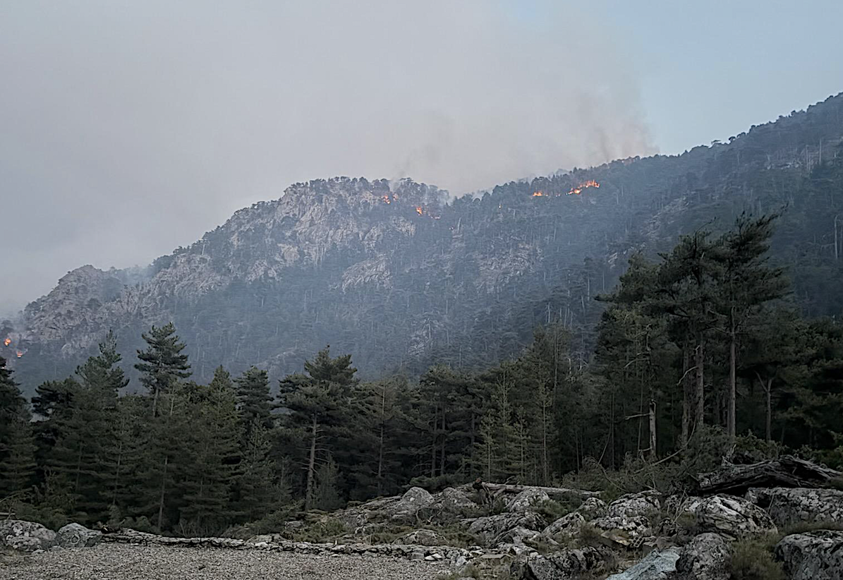 Restonica : le feu a parcouru 900 hectares