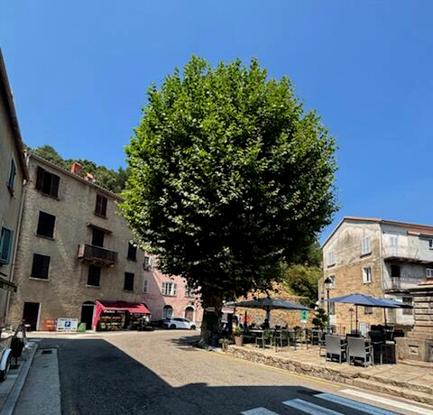 Vivario - Consensus autour du projet de la traverse du village