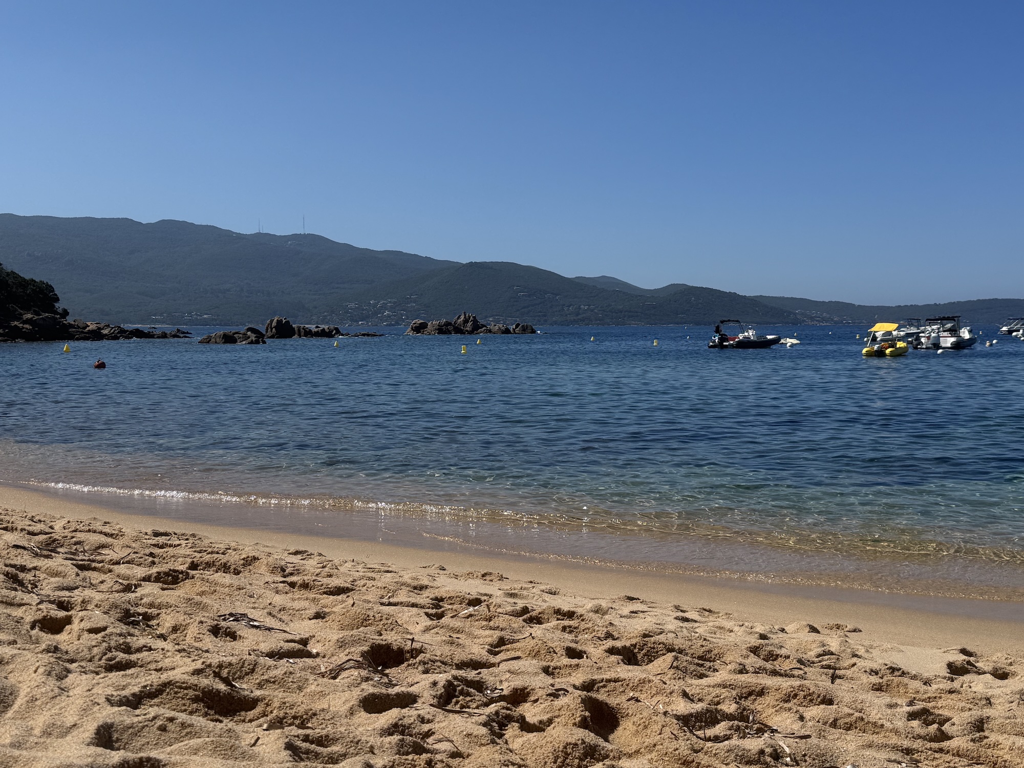 U tempu in Corsica