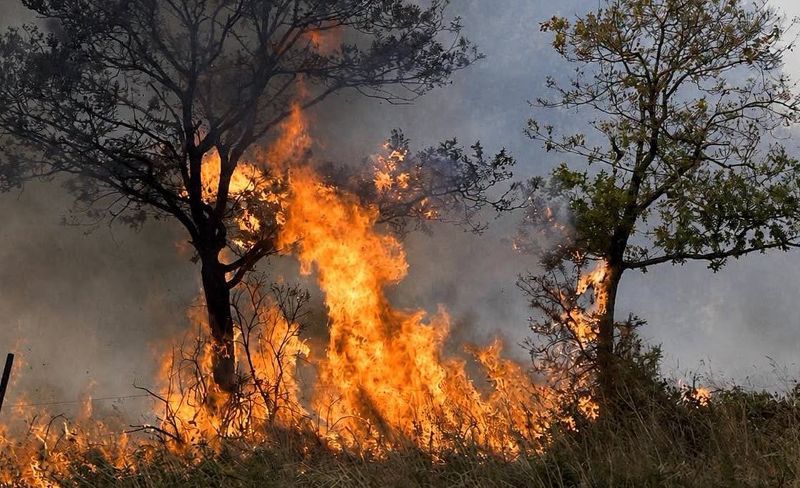 Haute-Corse : deux incendies à Albertacce et Rutali