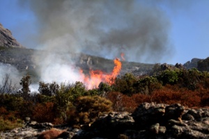 Incendies en Haute-Corse : 55 hectares parcourus à Erbajolo et Tallone