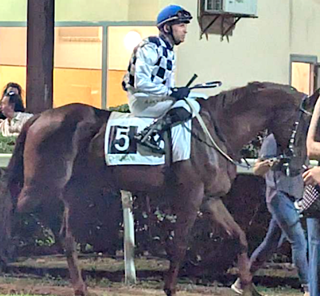 Hippisme - Alexandre Lastrajoli troisième en Sardaigne