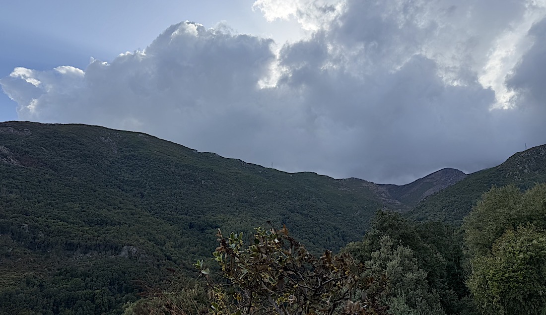 U tempu in Corsica