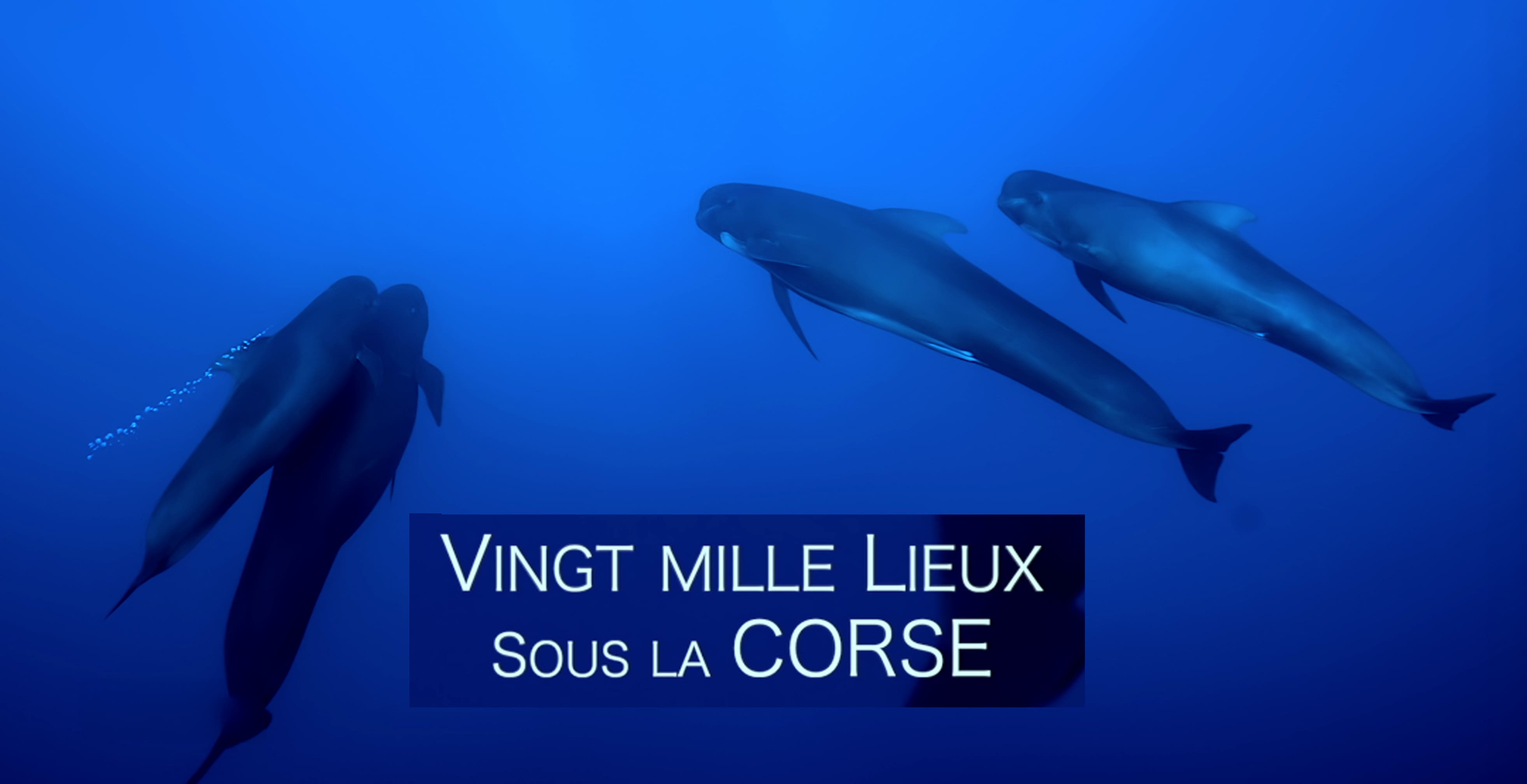 France 3 Corse ViaStella fait sa rentrée entre nouveautés, grands rendez-vous politiques et essor du numérique
