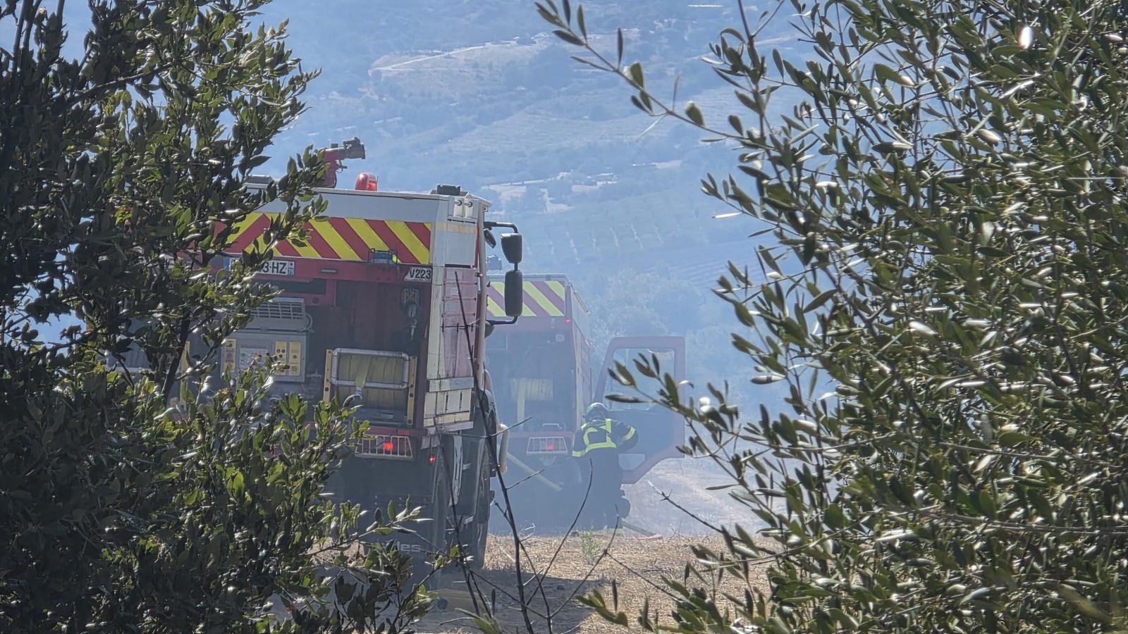 Incendie à Oletta : un hectare brûlé près du lac de Padula