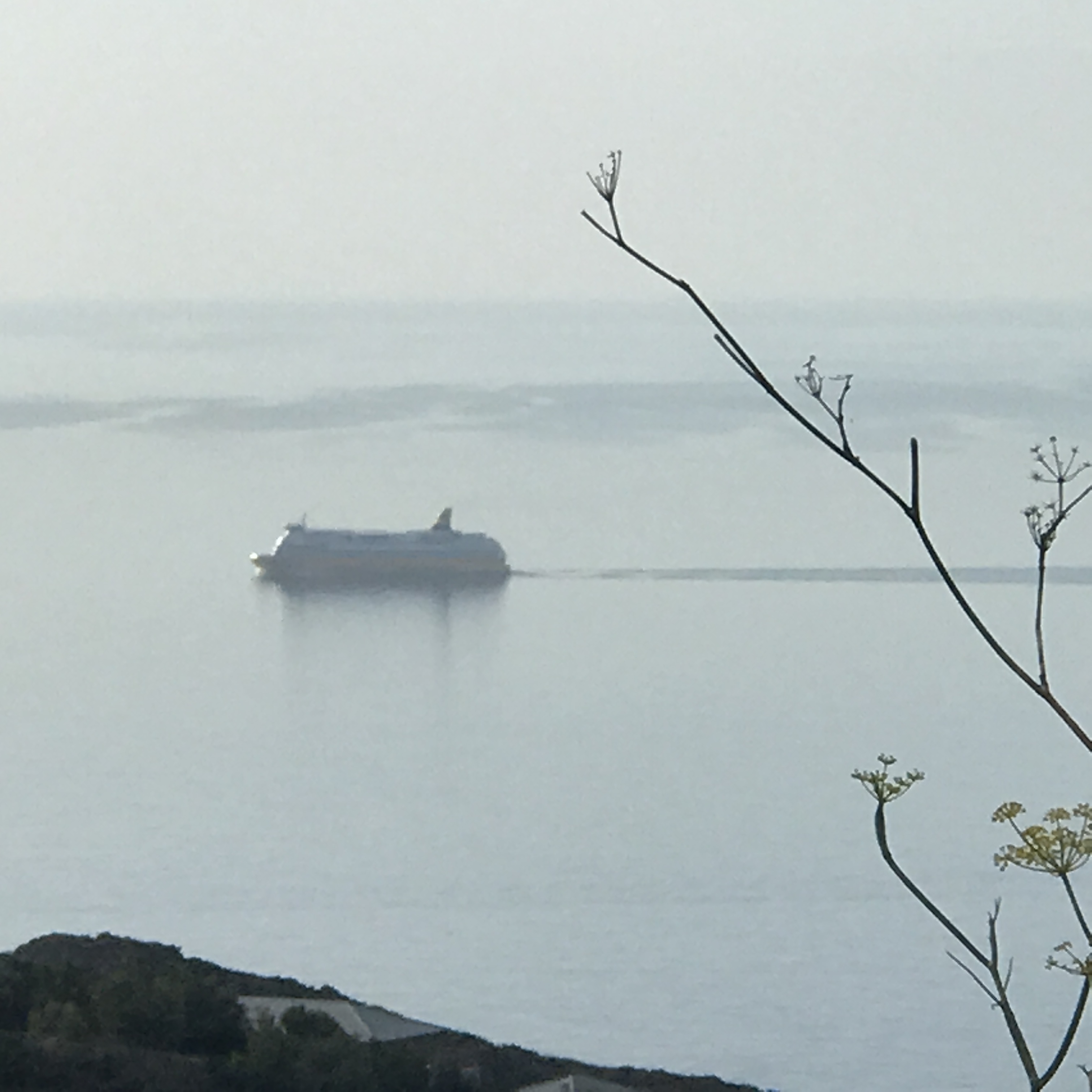 U tempu in Corsica