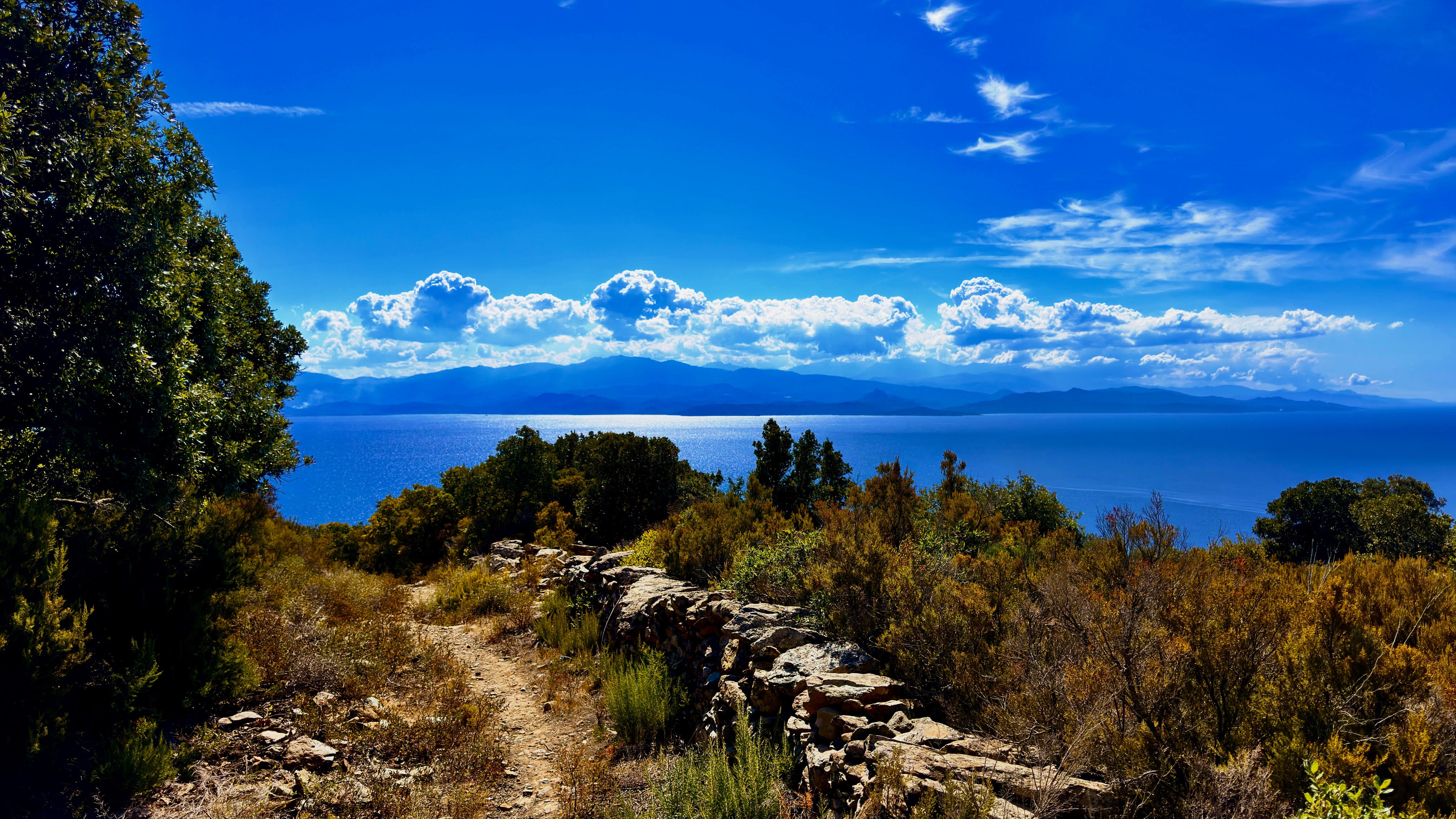 A màghjina - In a machja di Canari, a strada di u mare