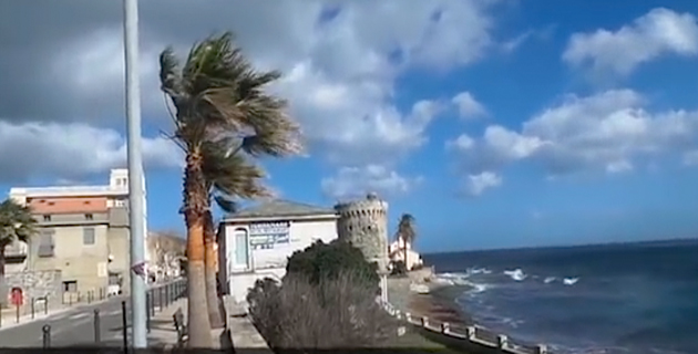 Aires marines protégées : Oui à la création  du Parc naturel marin du Cap Corse et de l’Agriate