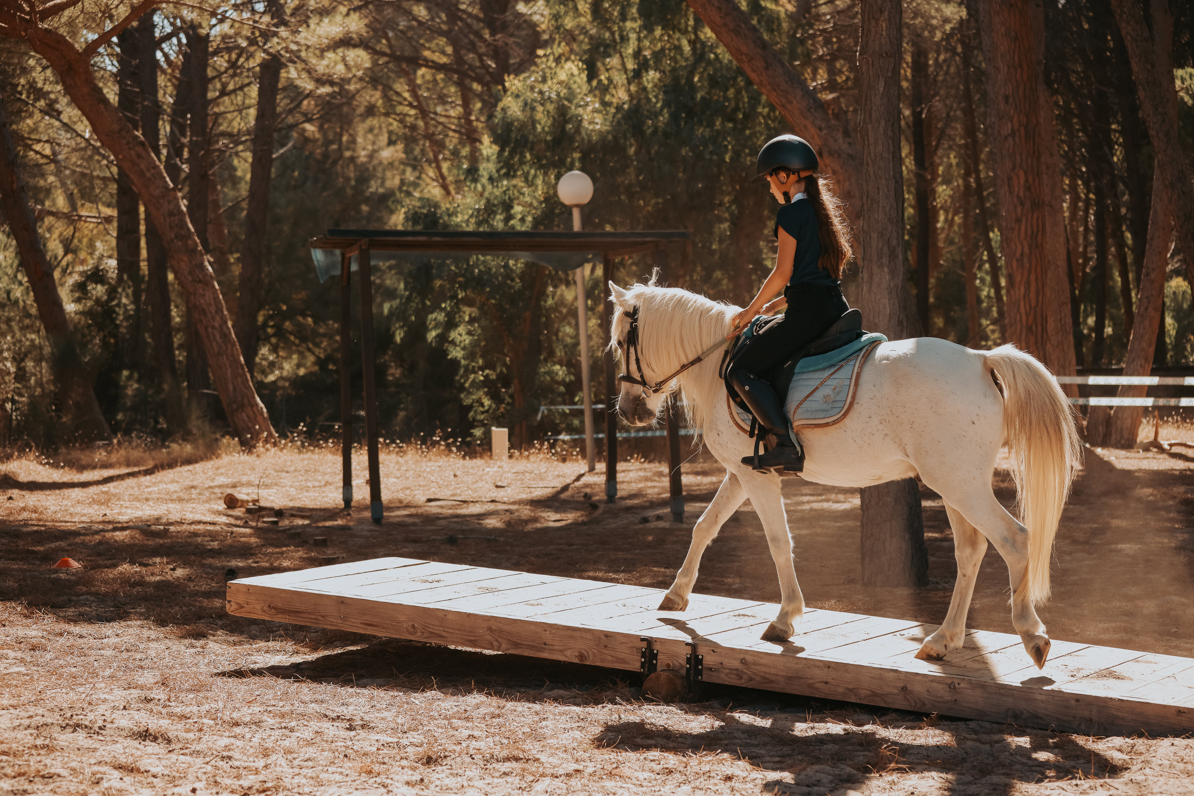Les épreuves démontrent la qualité de la relation homme/cheval, la complicité entre le cavalier et son équidé