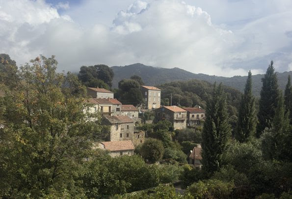 Zigliara en Corse du sud