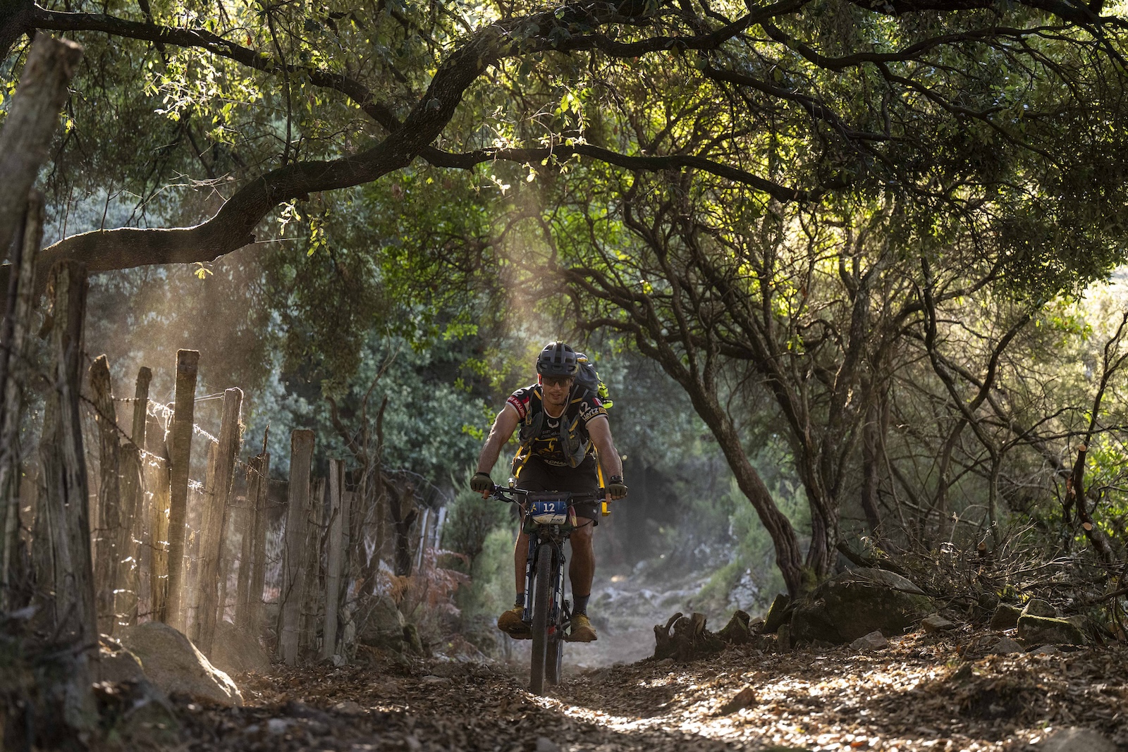 Photos ARWC