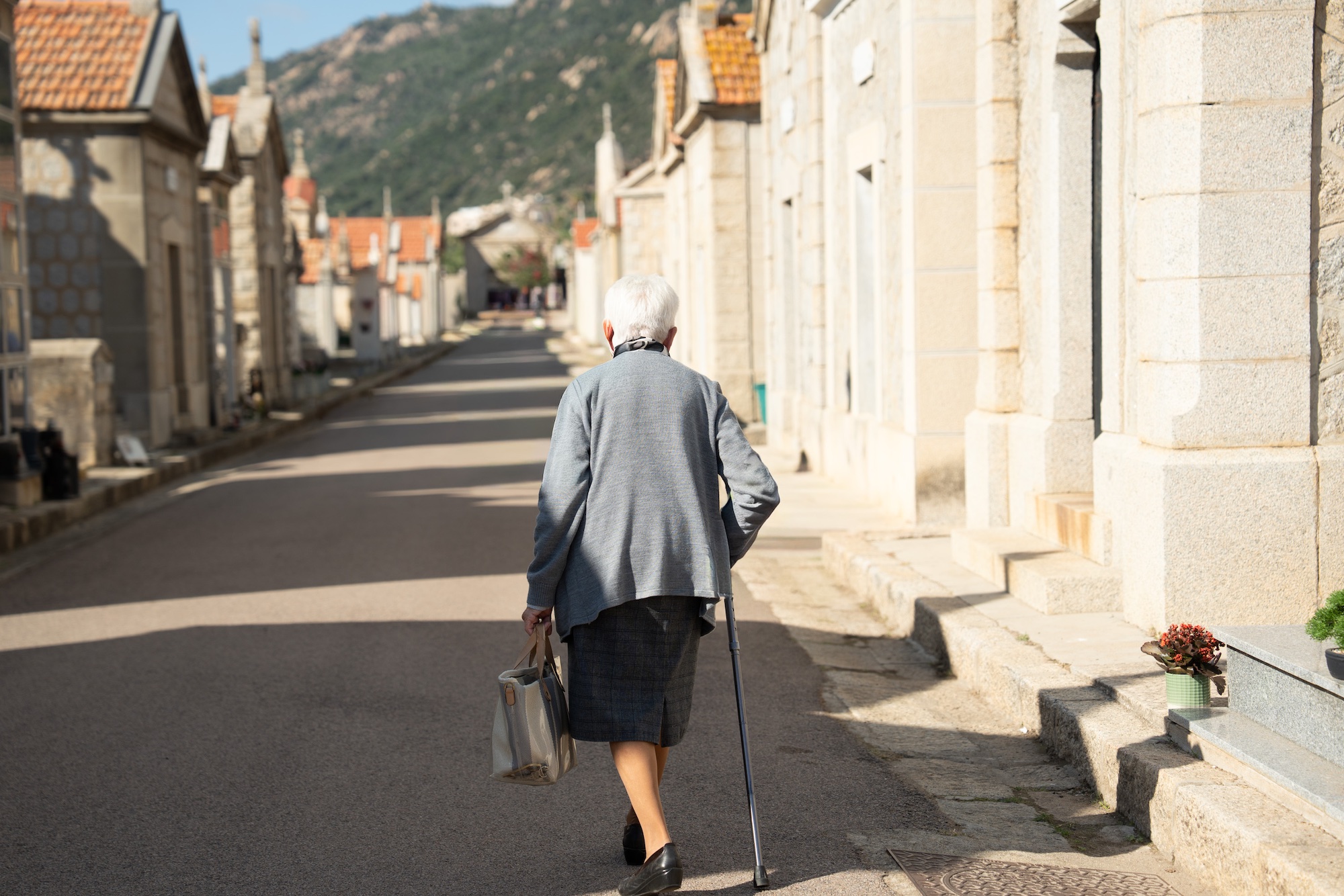 Avec celui de Saint-Antoine, ce cimetière rassemble près de 23 000 personnes recensées dans les registres ajacciens