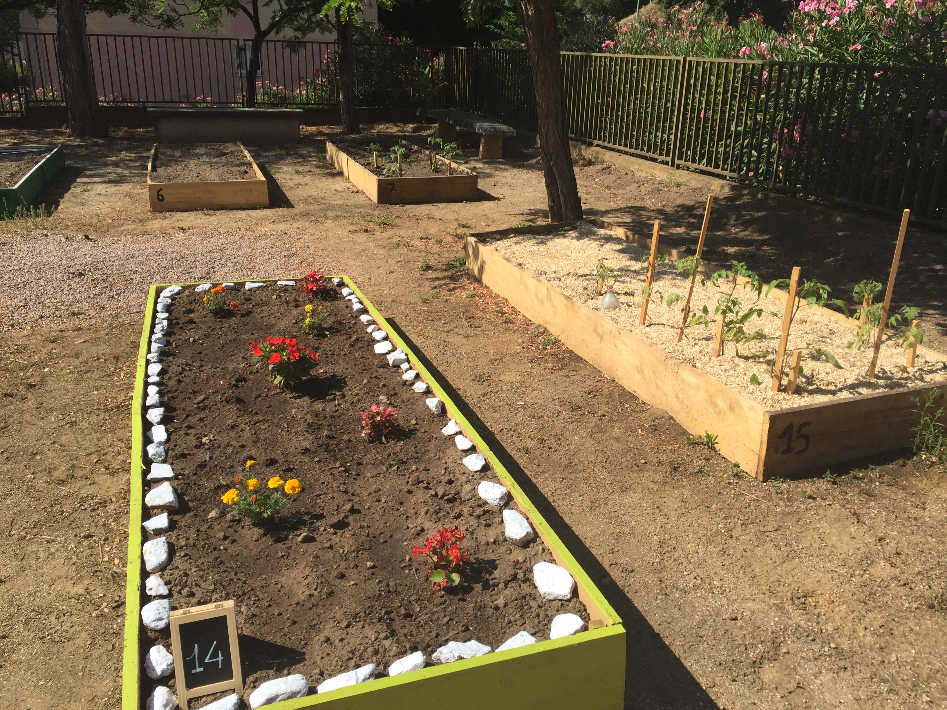 Entraide et amitié fleurissent dans le premier potager partagé de Bastia