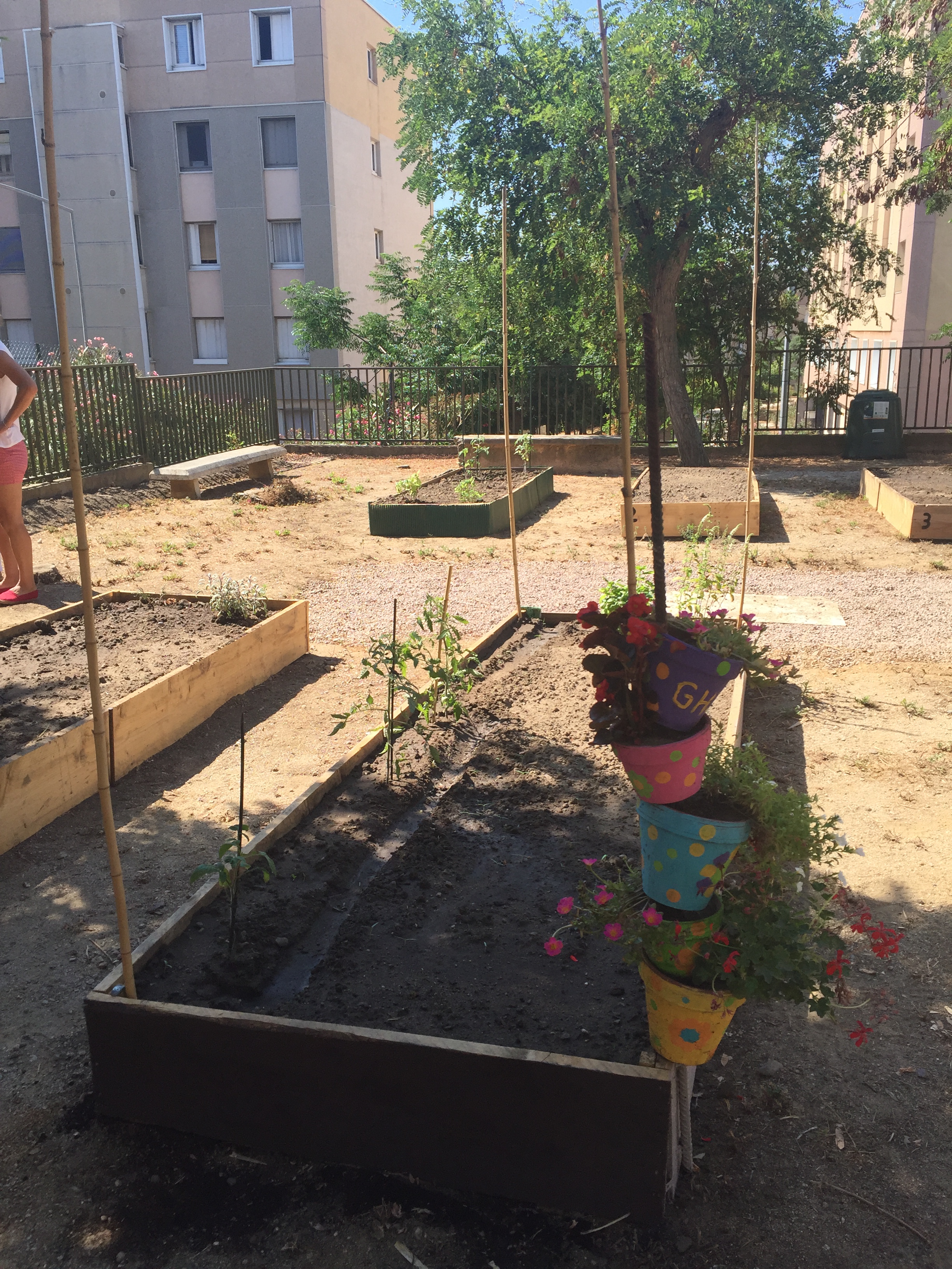 Entraide et amitié fleurissent dans le premier potager partagé de Bastia