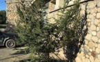 Ghisonaccia : L'arbre de Noël vandalisé à Saint-Antoine