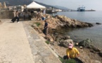 Bastia : Opération nettoyage du Vieux-Port