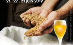 La brasserie Pietra va s’ouvrir au public pour la Moisson des Brasseurs le 21 juin 