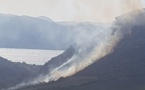 Patrimonio : Le feu a parcouru 6 hectares