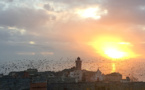 La photo du jour : nuée d'étourneaux sur Bastia