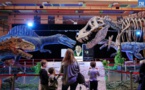 Les dinosaures s’invitent au palais des congrès d’Aiacciu
