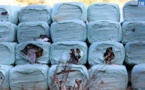 Exportation des déchets en PACA : L’Assemblée de Corse valide « un mal nécessaire » !
