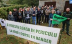 Les syndicats de l'ONF appellent à la création d’un collectif pour la forêt corse