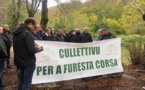 Un collectif pour la forêt corse voit le jour à Vizzavona 