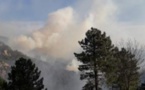 Plusieurs feux de forêt se déclarent en Haute-Corse