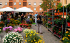 Ghisonaccia : Succès du marché aux fleurs