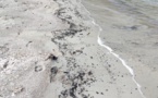 Pollution aux hydrocarbures : les plages restent fermées à Porto-Vecchio