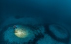 Laurent Ballesta tente de percer le mystère des anneaux de corail du Cap Corse