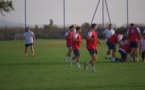 Rugby : le Montpellier-Hérault en stage en Corse
