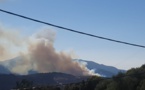Alata : 15 hectares détruits  par le feu au col de Carbinicca