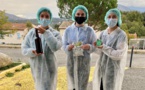 "Sperenza", la bière verte créée par trois étudiantes de l’université de Corse