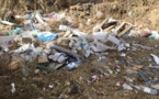 Une collecte de déchets participative en Balagne 