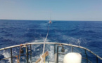 Calvi : Deux interventions de la SNSM pour ramener des voiliers