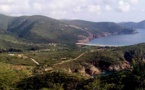Collectif pour la loi littoral : "Sauvons la biodiversité des ZNIEFF 1 en Corse des appétits immobiliers !"