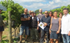 L’appel de l'ODARC pour soutenir le raisin corse, victime de la concurrence italienne
