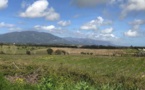 Foncier agricole : La SAFER devient propriétaire du domaine de Casabianca